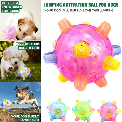 Fun Dog Bouncy Ball with Sound and Lights