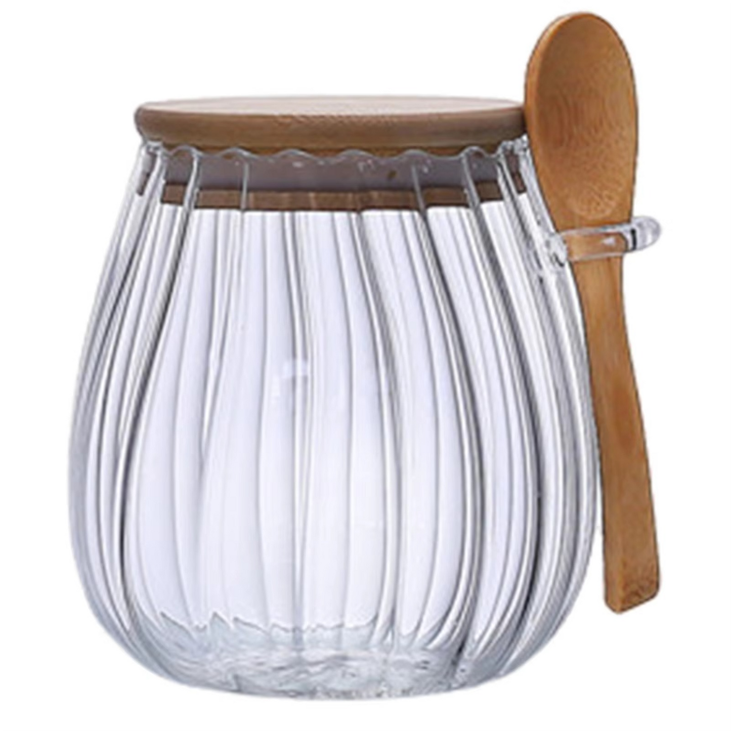 Large Clear Kitchen Storage Container with Tight Fitting Lid