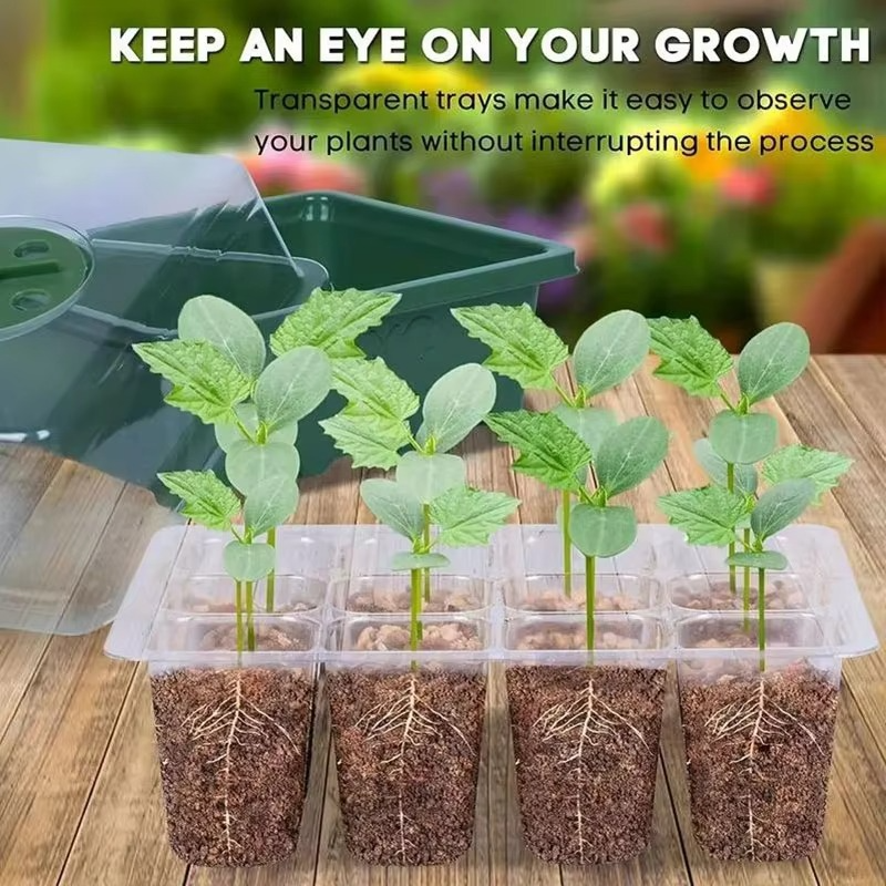 Mini Seed Starter Kit for Small Plants and Seeds