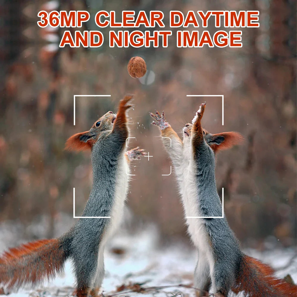 Wildlife Night Vision Camera 36MP 1080P HD