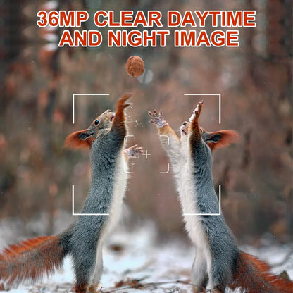 Wildlife Night Vision Camera 36MP 1080P HD