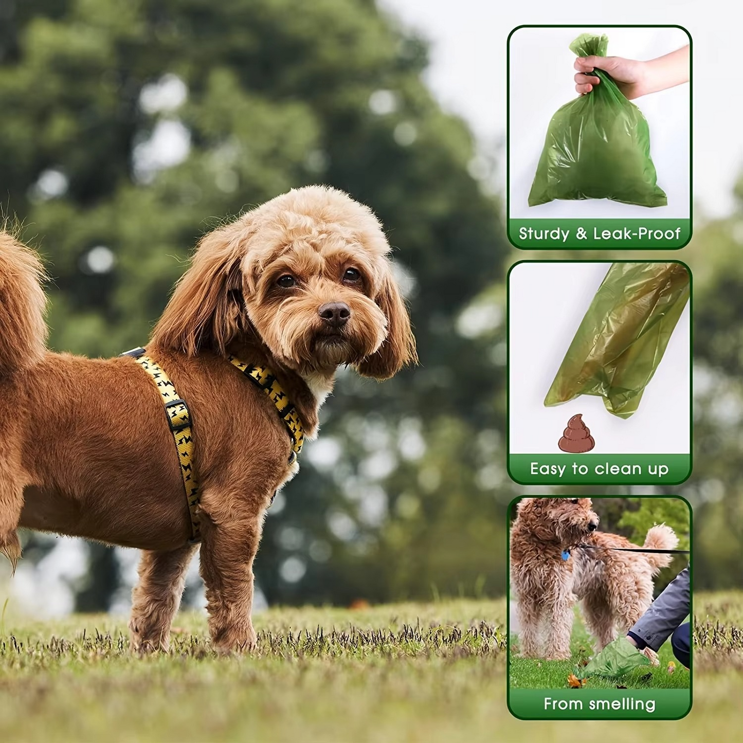 Compostable Dog Poop Bags with Holder