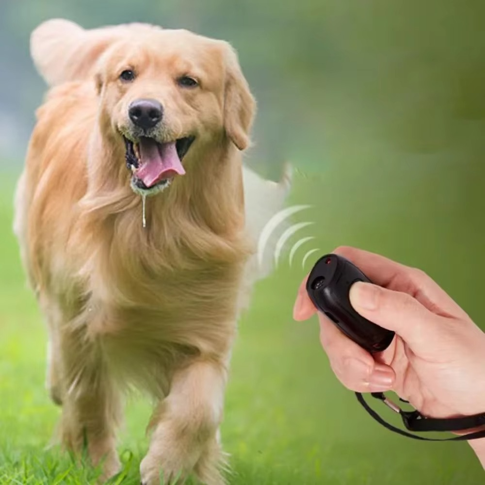 Effective Small Dog Deterrent with LED Training Light
