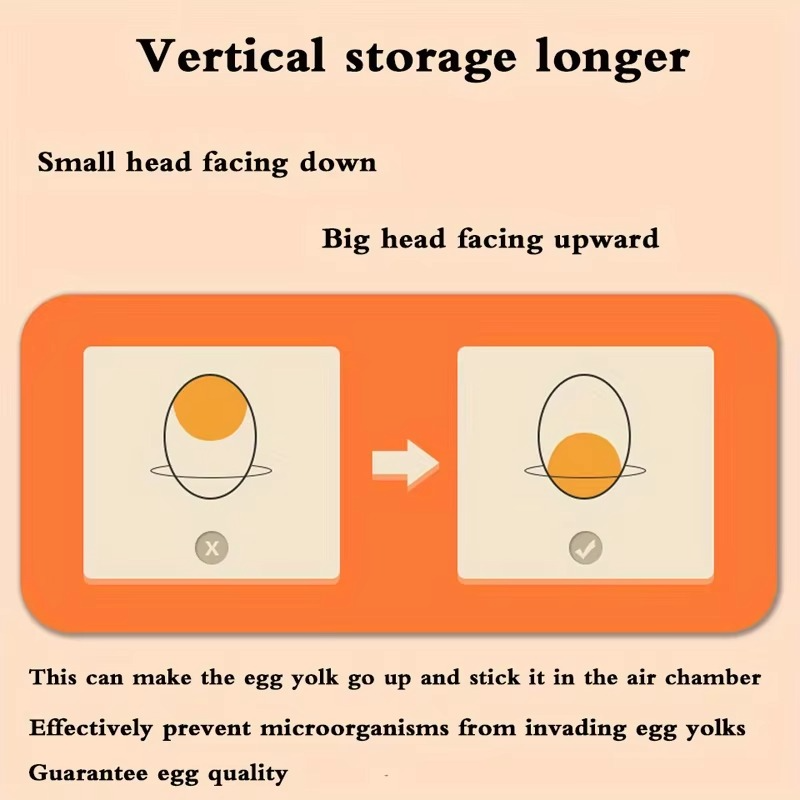 Compact 2 Tier Fridge Egg Holder Container