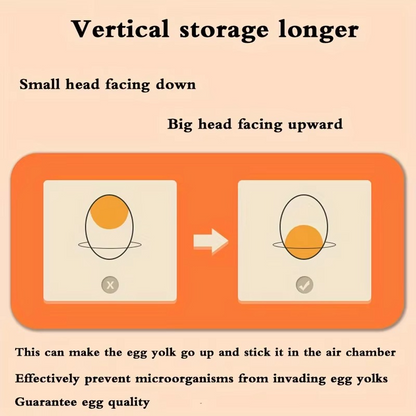 Compact 2 Tier Fridge Egg Holder Container
