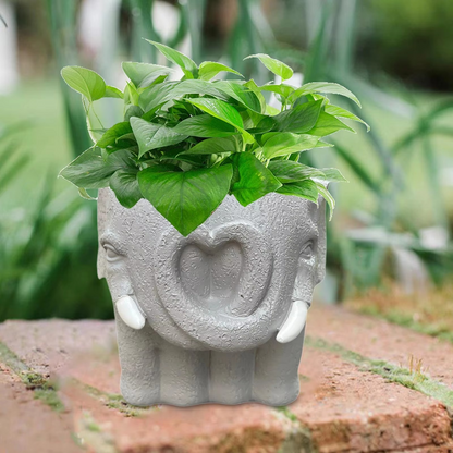 Cute Small Ceramic Planter Pot for Home Decor