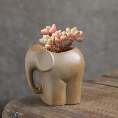 Unique Clay Mini Succulent Plant Pots