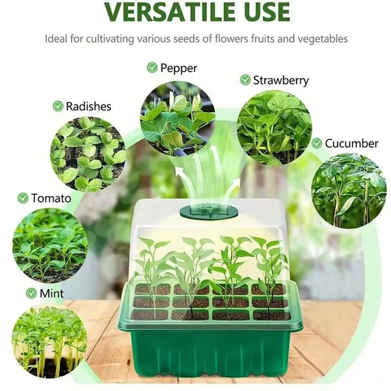 Mini Seed Starter Kit for Small Plants and Seeds