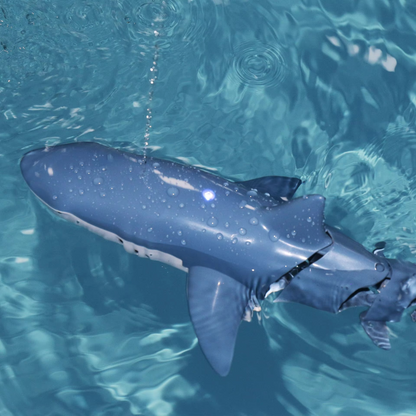 Fun RC Shark Water Toy for Kids - Hehif