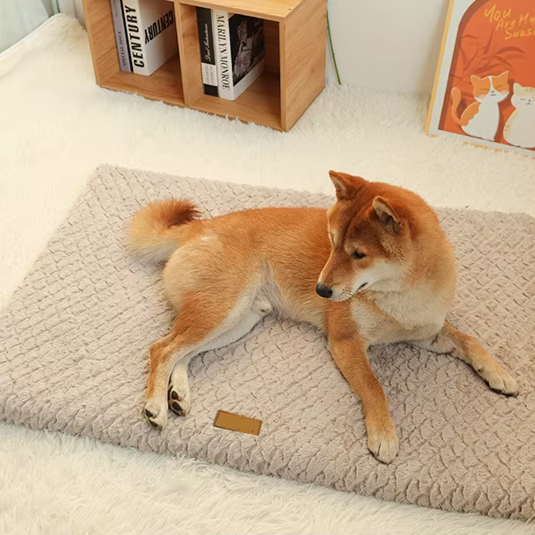 Comfortable Pet Bed with Plush Removable Cover - Hehif