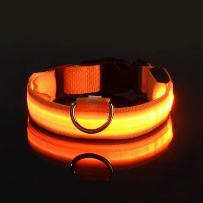 Bright Night Dog Leash with Reflective Safety Strip