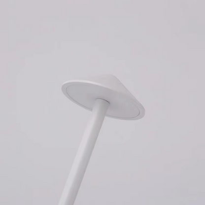 Color Changing Dimmable LED Desk Lamp