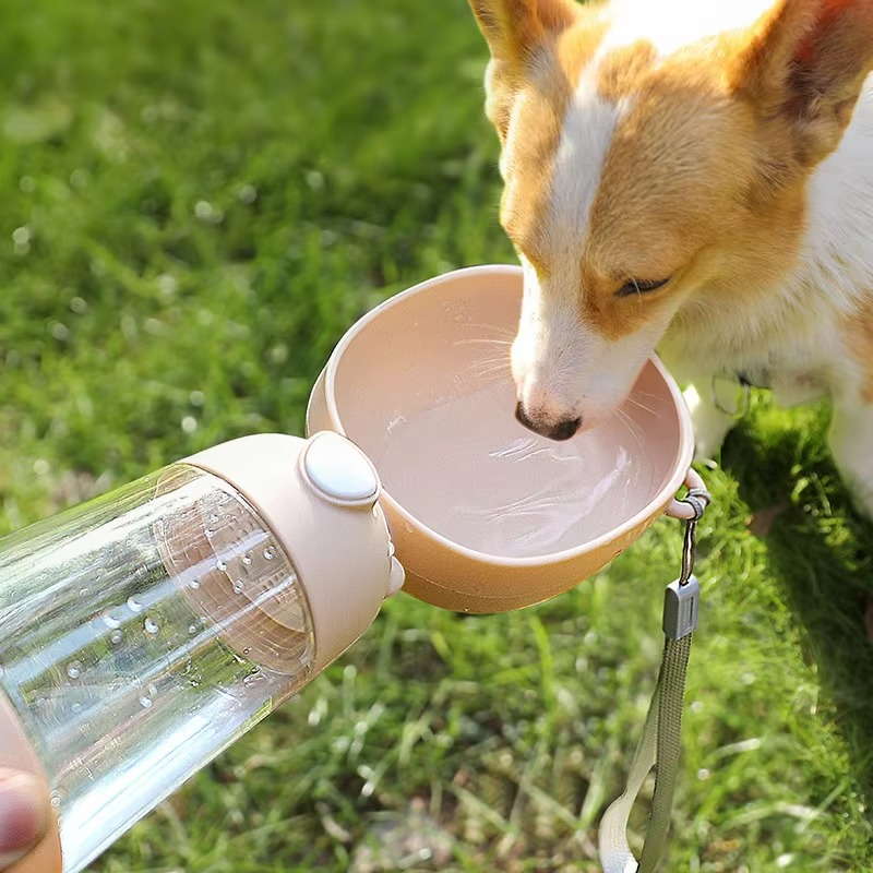 Compact Travel Dog Water Bowl