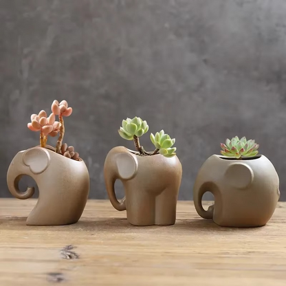 Unique Clay Mini Succulent Plant Pots
