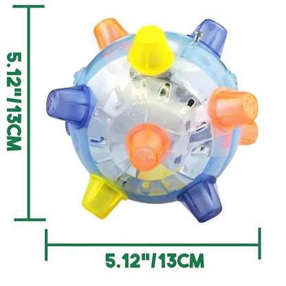 Fun Dog Bouncy Ball with Sound and Lights