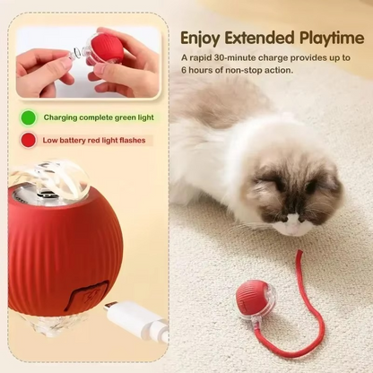Interactive Cat Toy with Moving Tail and Rechargeable Battery
