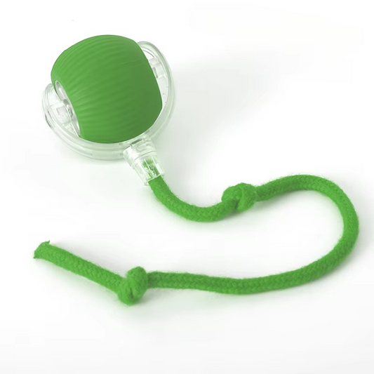 Fun Electronic Cat Toy with Feather Teaser and Auto Mouse - Hehif