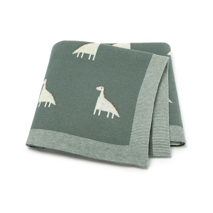 Cozy Baby Blanket with Dinosaur Print