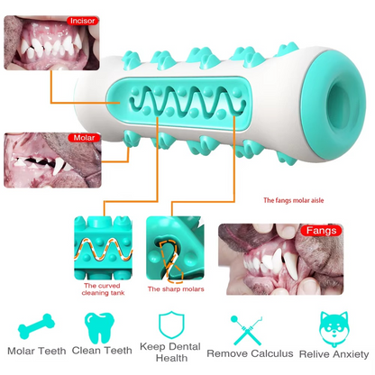 Big Dog Dental Chew Toy with Treat Dispenser