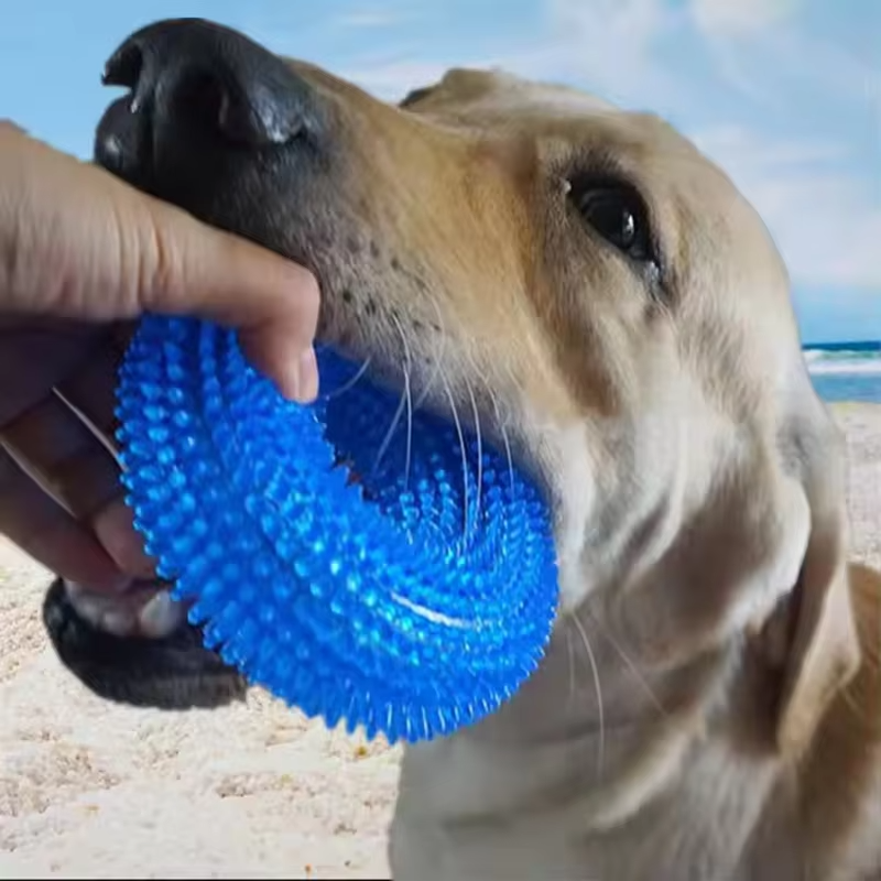 Tough Squeaky Dog Chew Ring - Rubber Dental Toy - Hehif