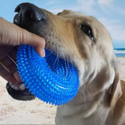 Tough Squeaky Dog Chew Ring - Rubber Dental Toy - Hehif