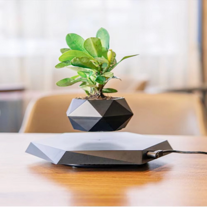 Floating Magnetic Self Watering Pot