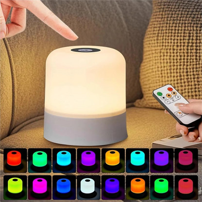 Dimmable LED Touch Lamp With Remote Control