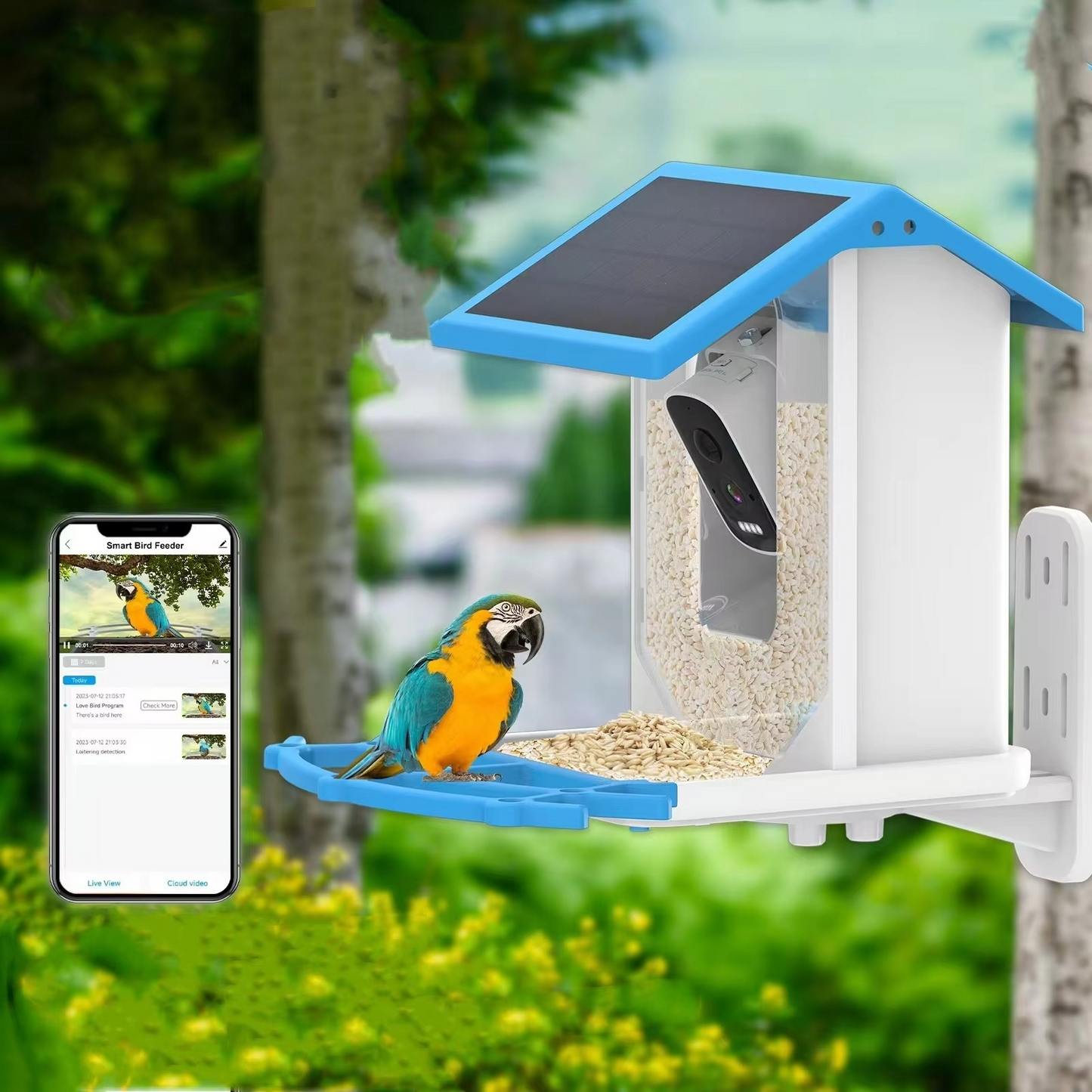 Wireless Bird Feeder with Wi-Fi Camera and Motion Sensor