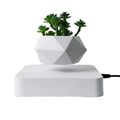 Suspended Air Bonsai Pot, Floating Desk Planter - Hehif