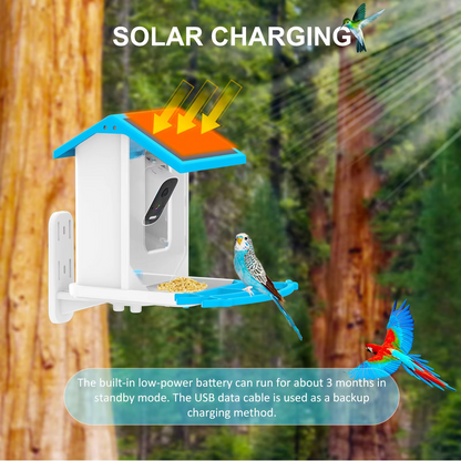 Wireless Bird Feeder with Wi-Fi Camera and Motion Sensor