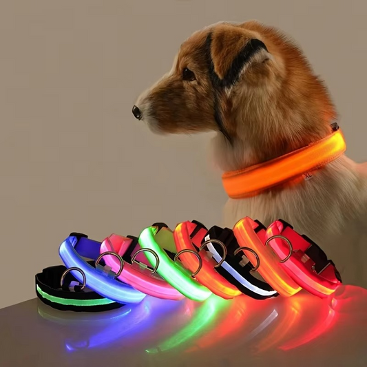 Bright Night Dog Leash with Reflective Safety Strip - Hehif