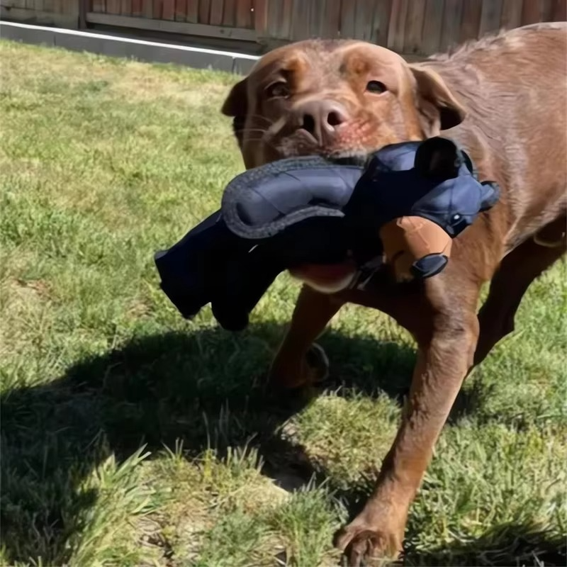Durable Rubber Bear Dog Toy for All Breeds - Hehif