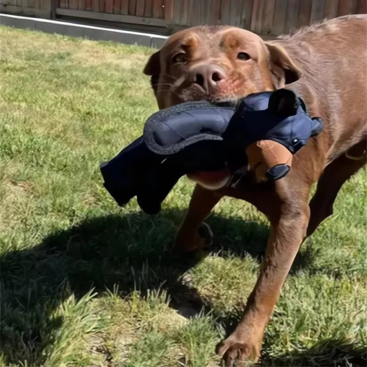 Durable Rubber Bear Dog Toy for All Breeds - Hehif