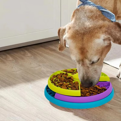 Fun Challenge Food Puzzle Pet Toy - Hehif