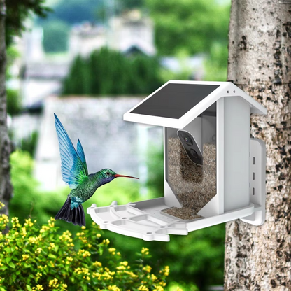Wireless Bird Feeder with Wi-Fi Camera and Motion Sensor - Hehif