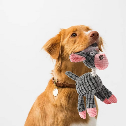 Fun Squeaky Dog Chew Toy - Tough & Long Lasting