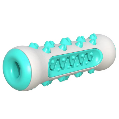 Big Dog Dental Chew Toy with Treat Dispenser
