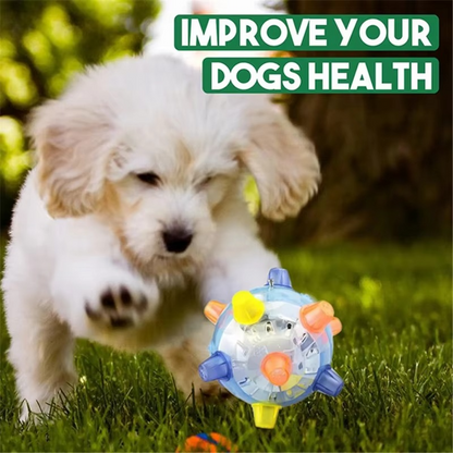 Fun Dog Bouncy Ball with Sound and Lights