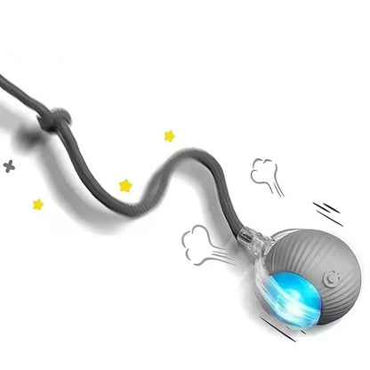 Interactive Cat Toy with Moving Tail and Rechargeable Battery