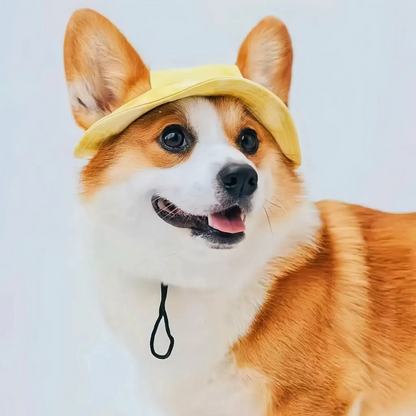 Cooling Pet Sun Cap