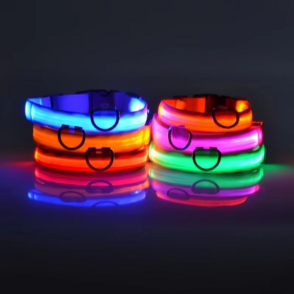 Bright Night Dog Leash with Reflective Safety Strip