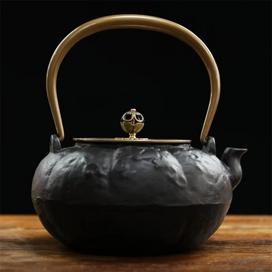 Vintage Style Cast Iron Tea Kettle for Stovetop Use - Hehif