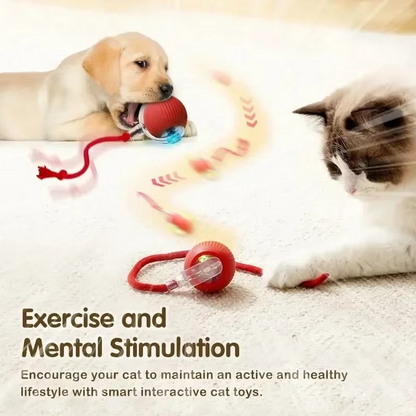 Interactive Cat Toy with Moving Tail and Rechargeable Battery