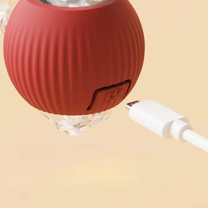 Fun Electronic Cat Toy with Feather Teaser and Auto Mouse