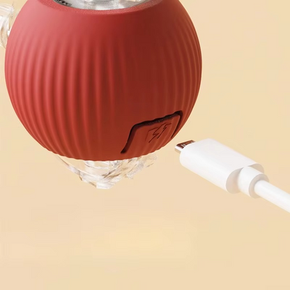 Fun Electronic Cat Toy with Feather Teaser and Auto Mouse