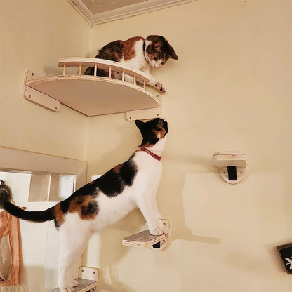 Space-Saving Cat Climber and Scratch Tower