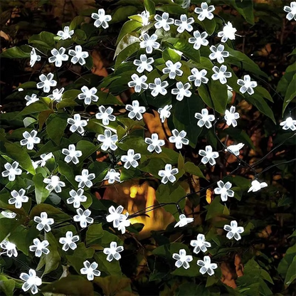Outdoor Garden Solar Fairy String Lights