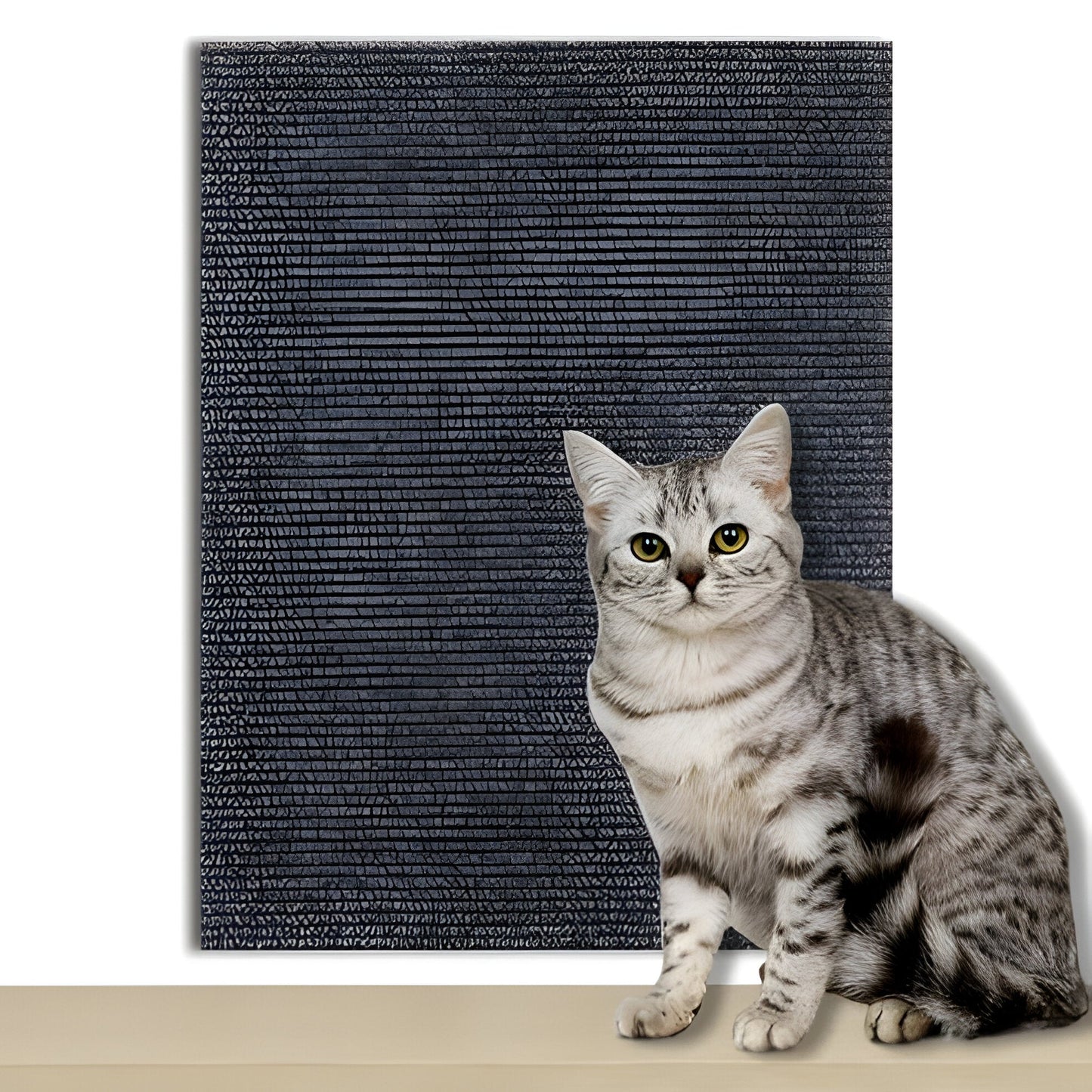 Clear Cat Scratch Guard Sticker Protector