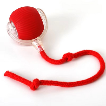 Fun Electronic Cat Toy with Feather Teaser and Auto Mouse