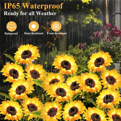 Bright Outdoor Solar Garden Path Lights